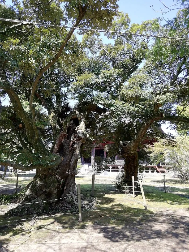 龍正院（毘沙門天） の写真 2