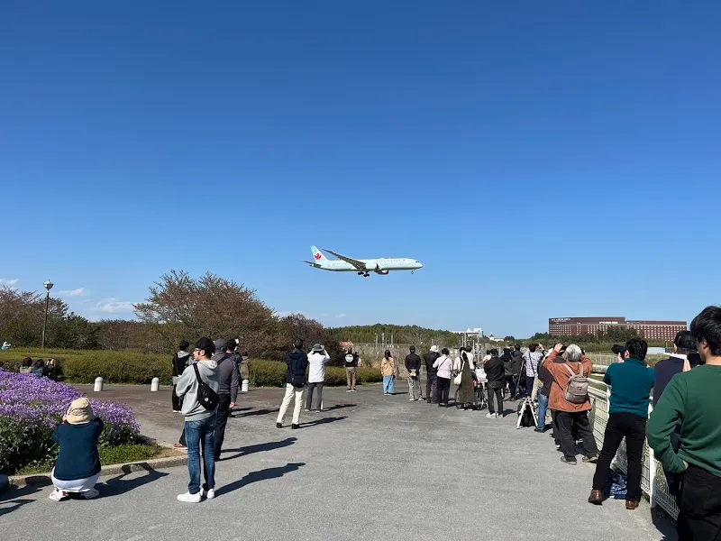 さくらの山公園駐車場 の写真 4
