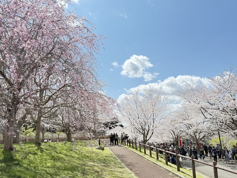 さくらの山公園